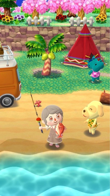 Animal Crossing: Pocket Camp C